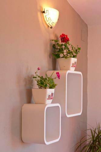 Boutique Apartments Seputic