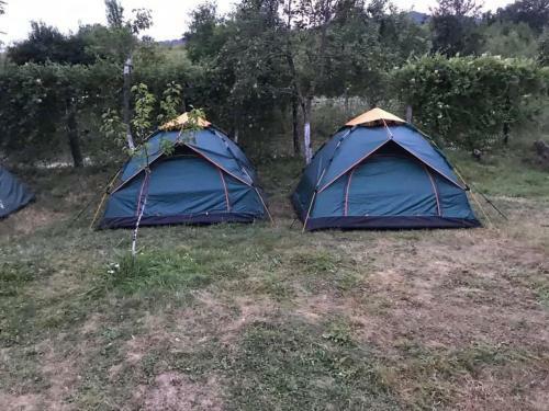 Camping In Clisura Dunarii