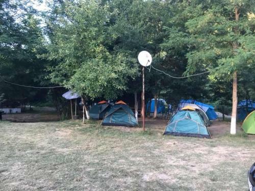 Camping In Clisura Dunarii