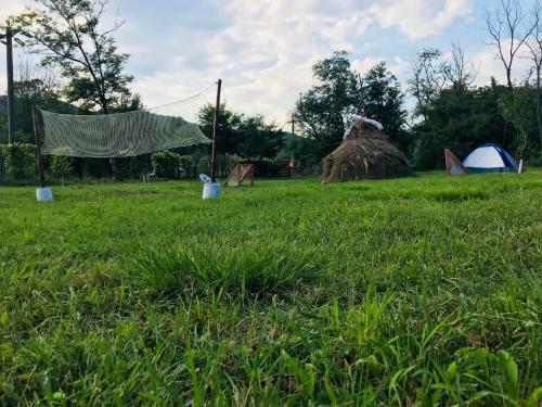 Camping In Clisura Dunarii