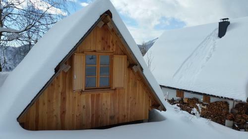 Glamping Apartment Oasis Of Peace