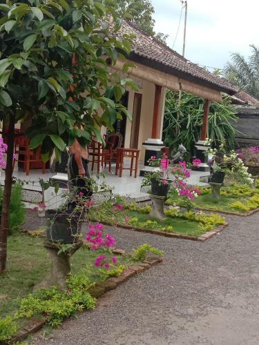 Apartamento Hause Market