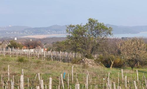 Traditional Cottage At Lake Balaton