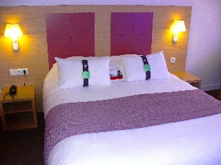 Hotel Holiday Inn Loire Valley(.)