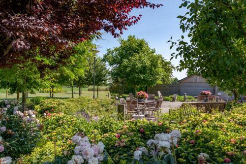 Apartamento Lodgerie Het Groene Geheim