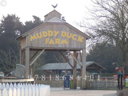 Flamingo Land - Woodlands W174
