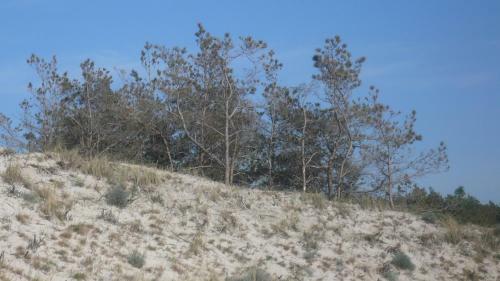 Agroturismo Domek Letniskowy