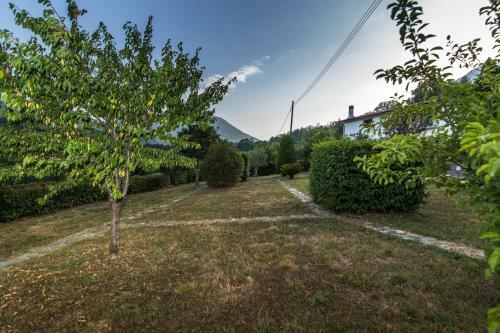 Apartamento Agriturismo La Valle Degli Ulivi
