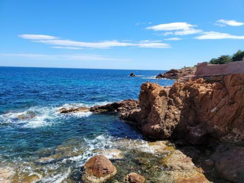 Apartamento Le Cap Neree T2 Rez de Mer