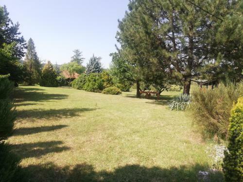 Villa Vila Timok