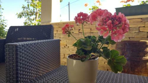 Apartment Nanara