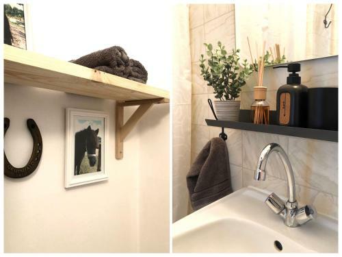Apartament Lajkonik