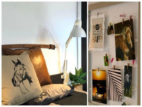Apartament Lajkonik