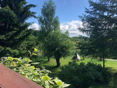 Apartament Lajkonik