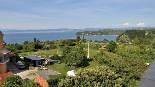 Apartments Neja