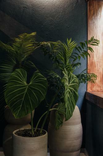 Hotel Sui Posada Boutique