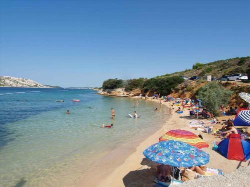 Apartments In Palit/insel Rab 16476