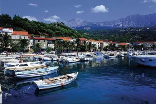 Apartments Villa Vesna Podgora - Cdm05026-dyc