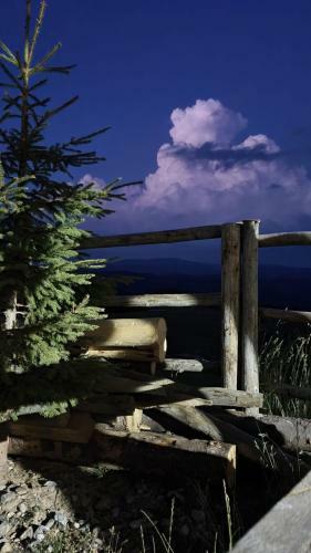 Hostal Pensiunea Patricia, V�rful Lui Roman