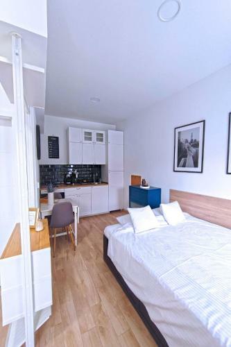 Studio Apartments Agostini