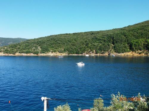 Apartments Valun