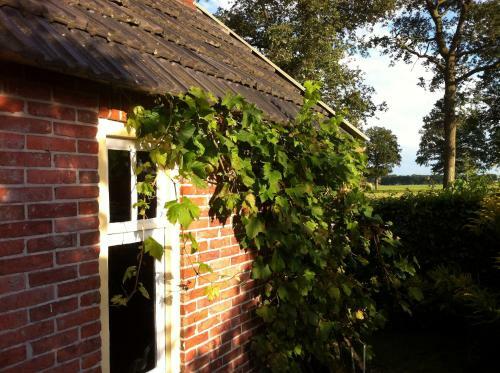 Bed & Breakfast De Bolderie