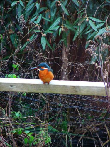 B&B Houseboat Between Amsterdam Windmills