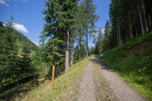 Ferienhaus Almh�tte Gut M�hlreit