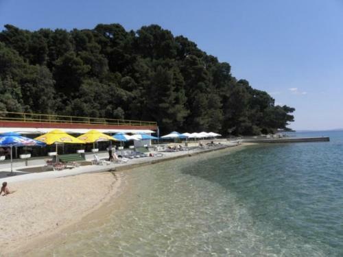 Apartment In Palit/insel Rab 17827