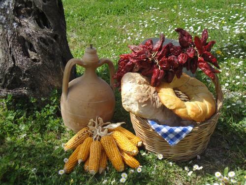 Agroturismo Agriturismo Acampora