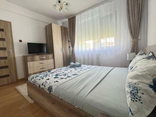 Apartament Andrei Baile Felix