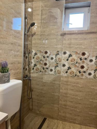 Apartament Andrei Baile Felix
