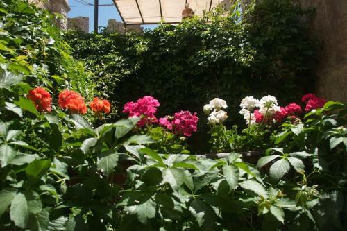 Apartamento Erice Villa San Domenico