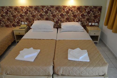 Alexandros Hotel