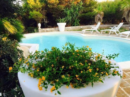 Villa Le Pigne