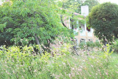 Bed & Breakfast Maison Poche