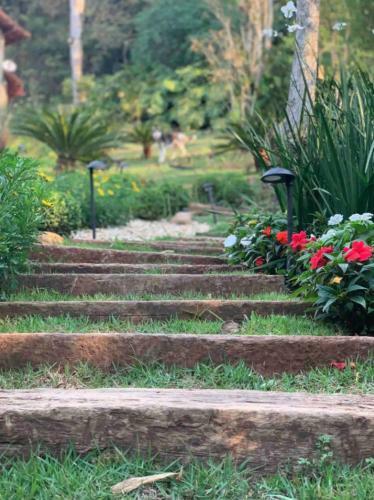 Teres�polis Experi�ncia �nica Dona Felicidade
