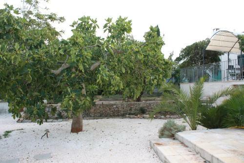Villa Trullo Aniello
