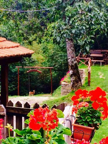 B&B La Presa