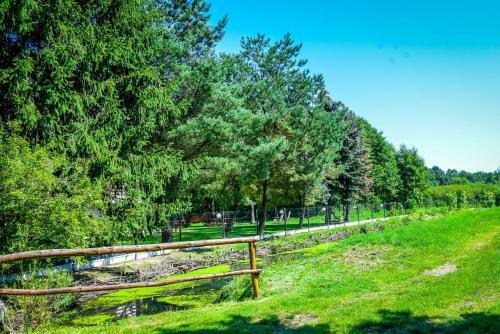 Bed & Breakfast Willa Boconek - Zator Przecisz�w