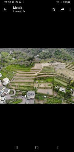 Apartamento Agriturismo Terre Verae