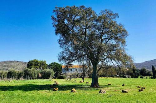 Villa Superb Cottage In Tuscany's Maremma