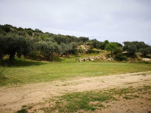 Agroturismo Villa L'oleandro