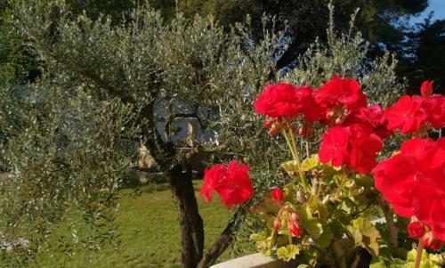 Agroturismo Perla Del Salento