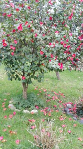 Hotel B&B El Jard�n De Aes