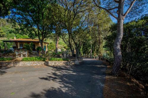 Mediterranean Villa
