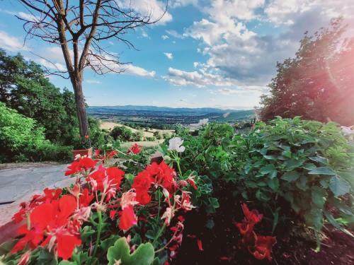Agroturismo Al Podere Del Nonno Romolo