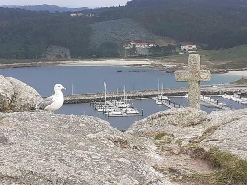 Casa Da Xesteira-merexo-mux�a-costa Da Morte