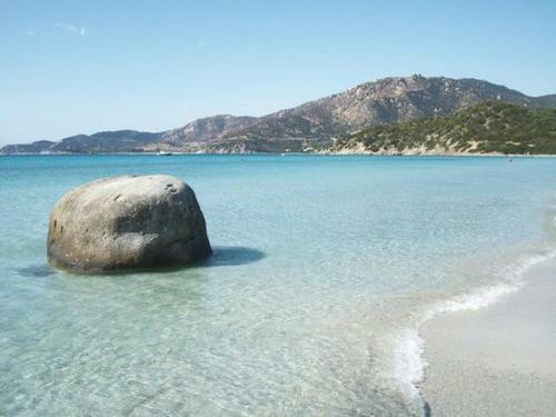 La Mimosa Sul Mare