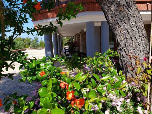 Apartamento Vila Elezi